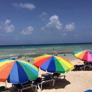 Meet your Posher, Carmen